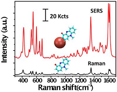 Surface-Enhanced Raman Scattering Spectroscopy for Label-Free Analysis of P. aeruginosa Quorum Sensing